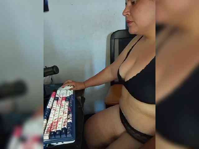 Gaviotaa webcam