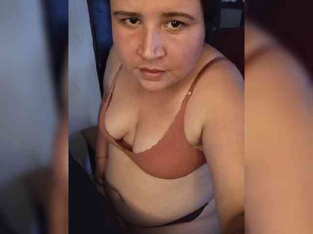 Gaviotaa webcam