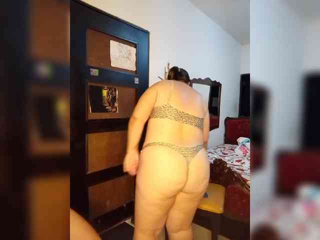 Gaviotaa webcam
