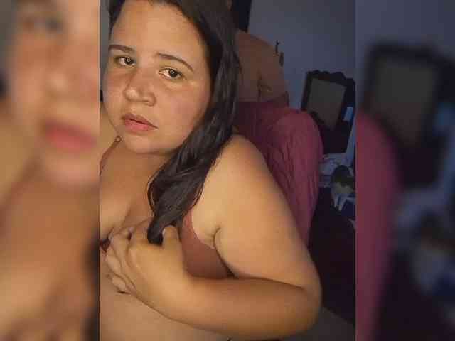 Gaviotaa webcam