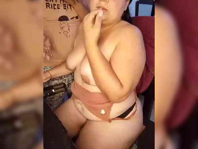 Gaviotaa webcam