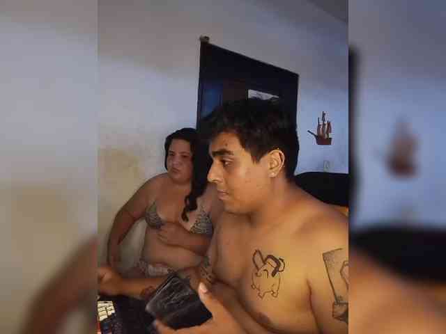 Gaviotaa webcam