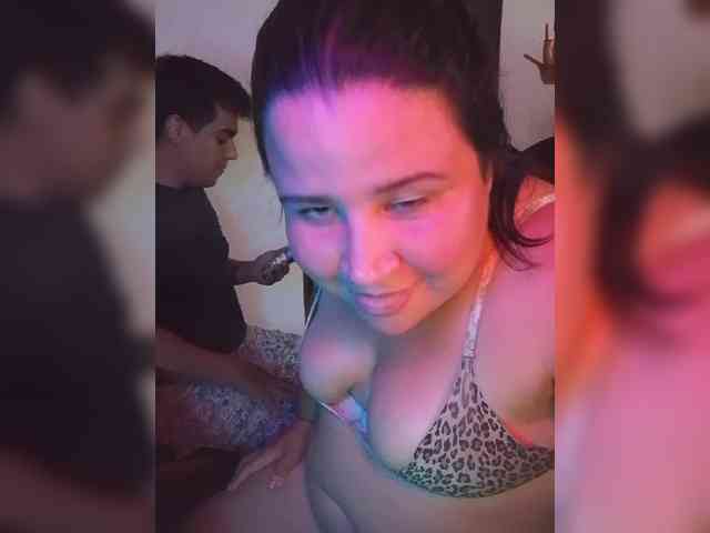 Gaviotaa webcam