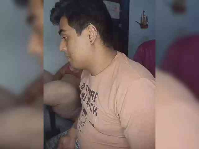 Gaviotaa webcam