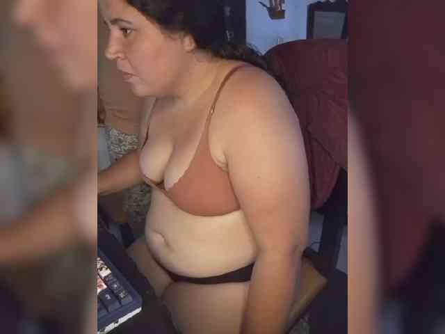 Gaviotaa webcam
