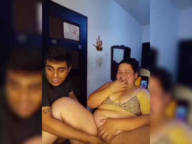 Gaviotaa