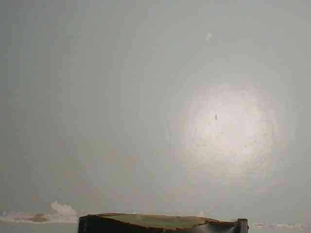 Lovely-browney webcam