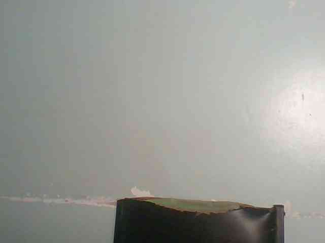Lovely-browney webcam