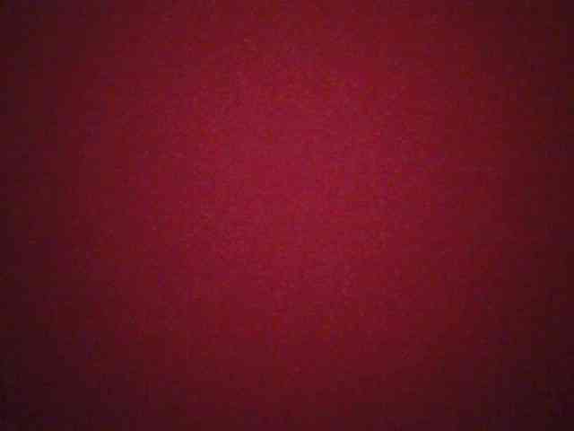 Lovely-browney webcam