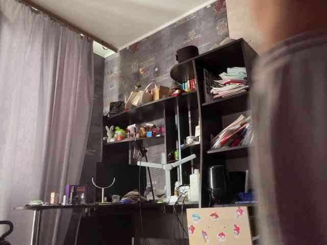 SharieHirstein webcam