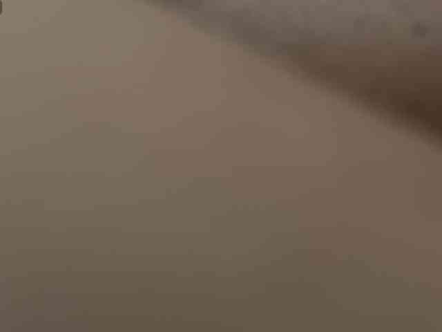 larirossi webcam