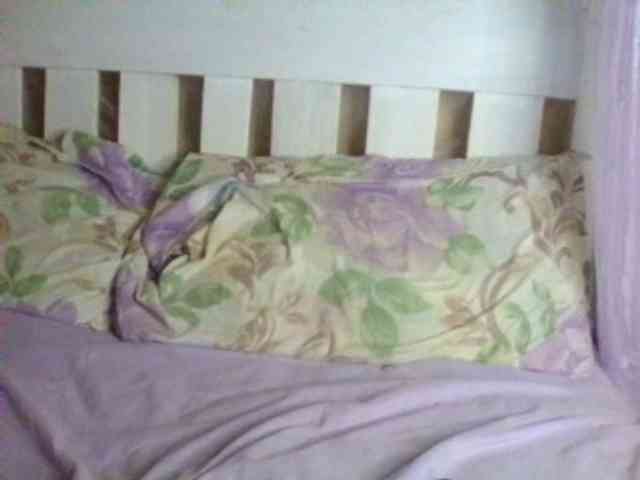 Tilly-Shirlie webcam