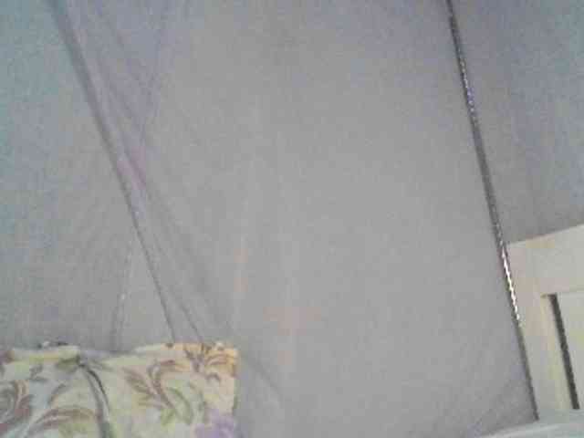 Tilly-Shirlie webcam