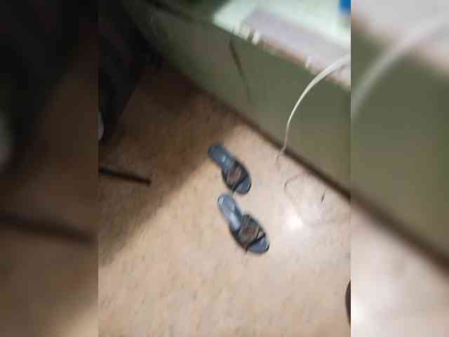 Machenka1 webcam
