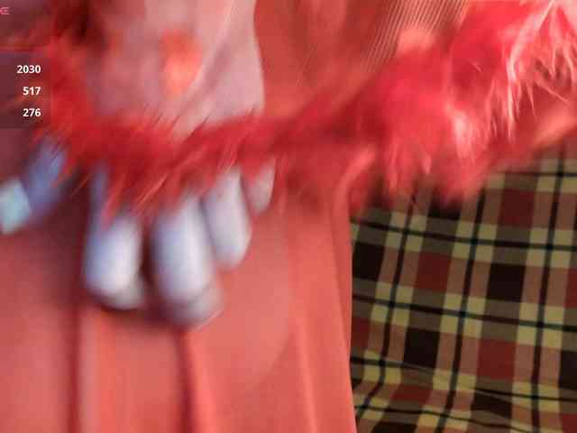 mashushu webcam