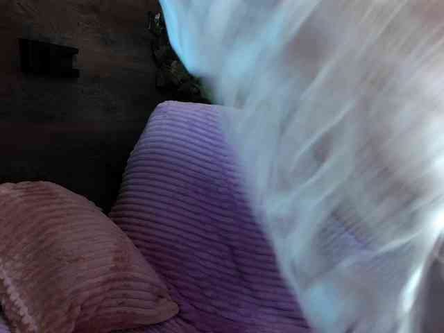 mashushu webcam