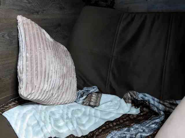 mashushu webcam