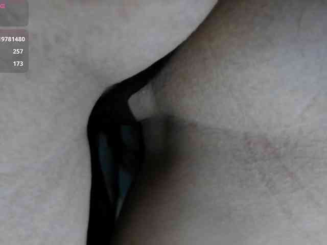 mashushu webcam