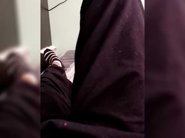 BelXs