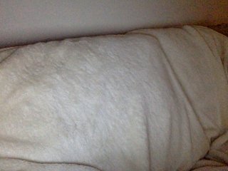 juicylayla's Live Webcam