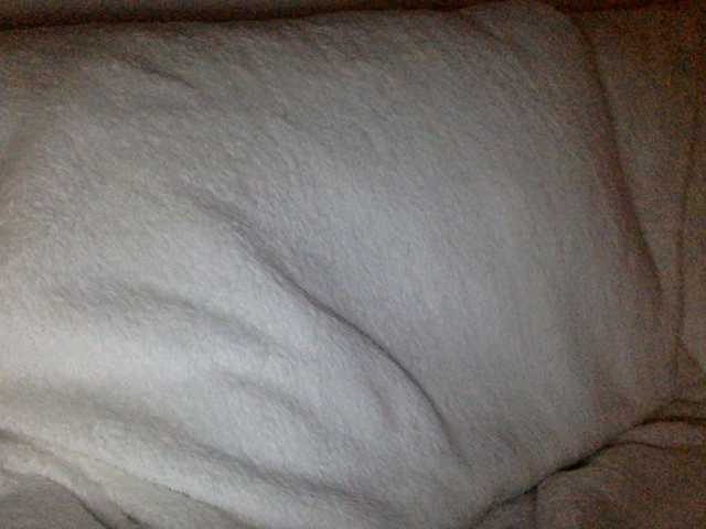 juicylayla live cam preview