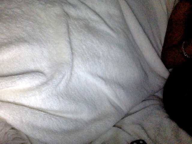 juicylala live cam on BongaCams