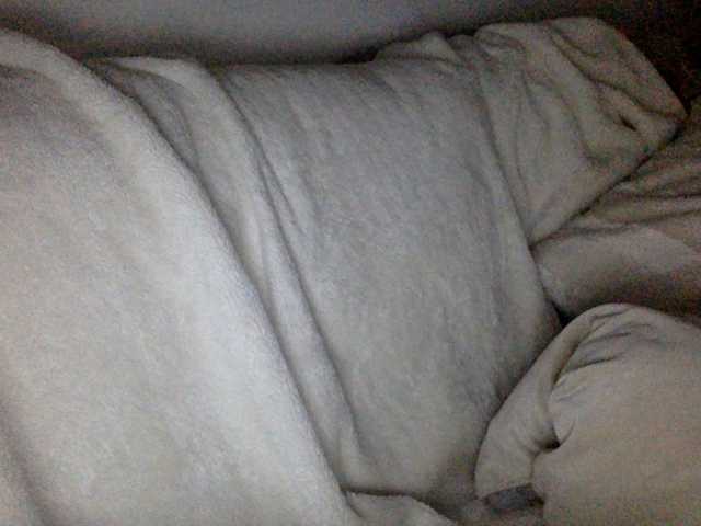 juicylayla live cam preview