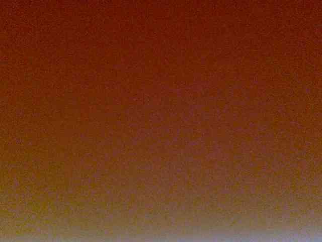 juicylayla webcam
