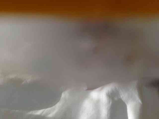 juicylala webcam