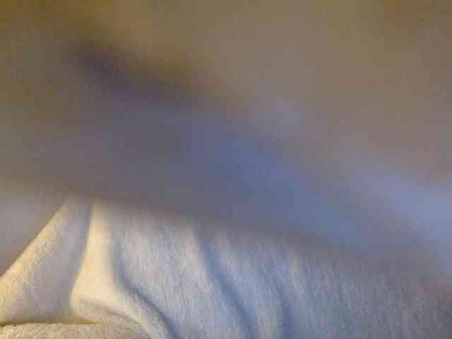juicylayla webcam