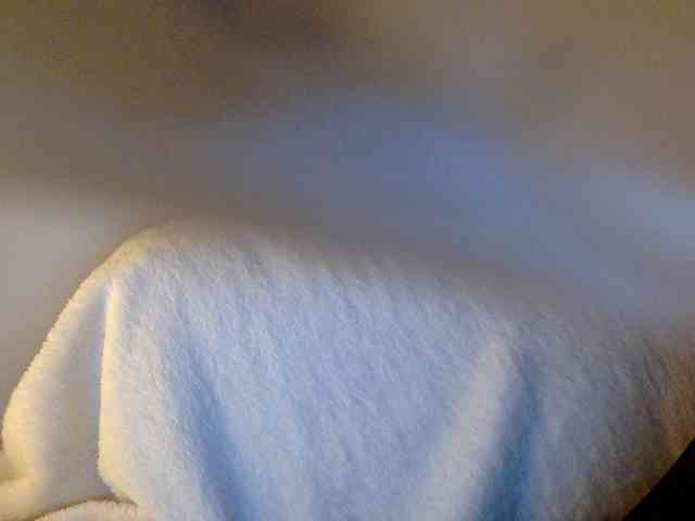 juicylayla webcam