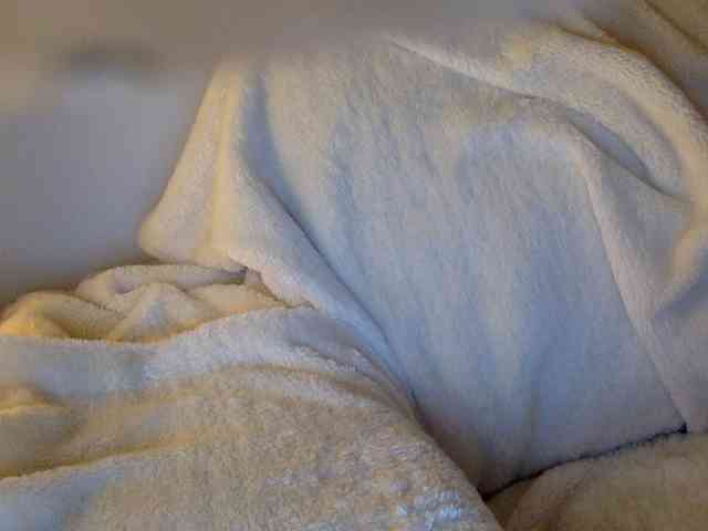 juicylayla webcam