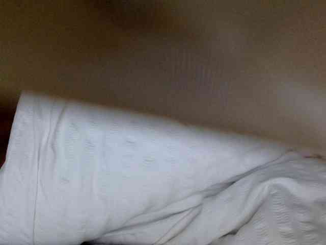 juicylayla webcam