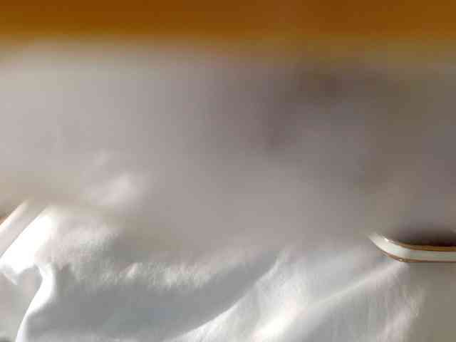 juicylala webcam