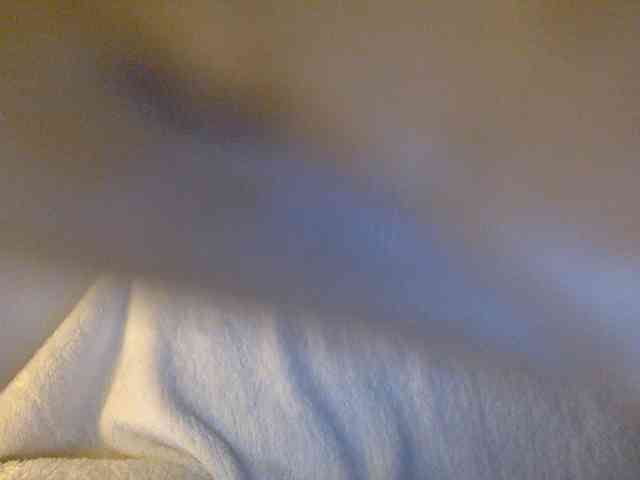 juicylayla webcam