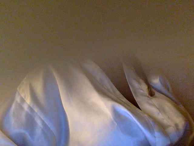 juicylayla webcam