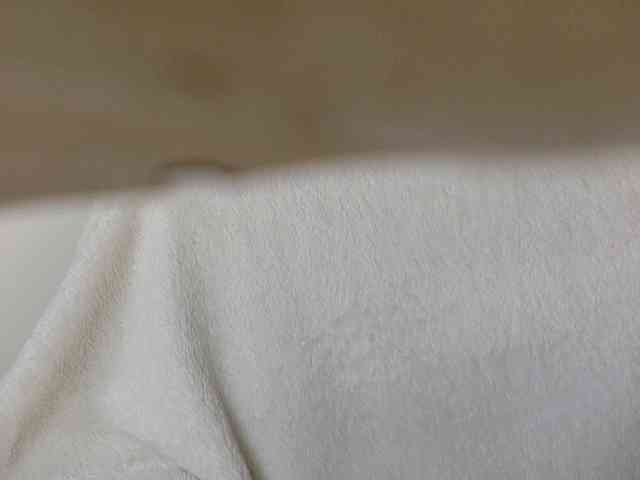 juicylayla webcam