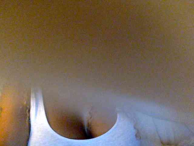 juicylayla webcam