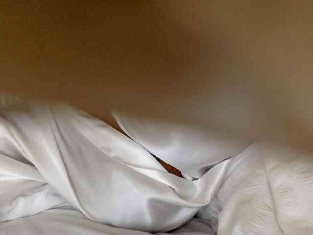 juicylayla webcam