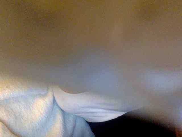 juicylayla webcam