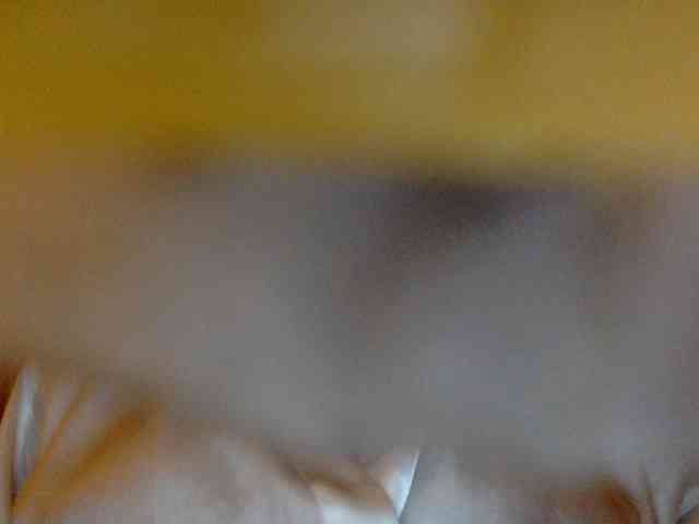 juicylala webcam
