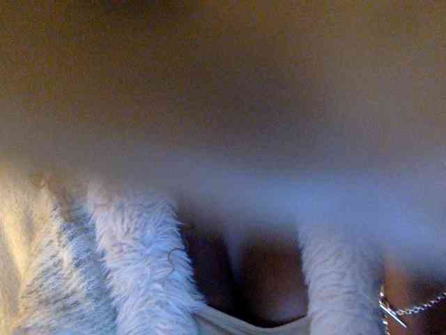 juicylayla webcam