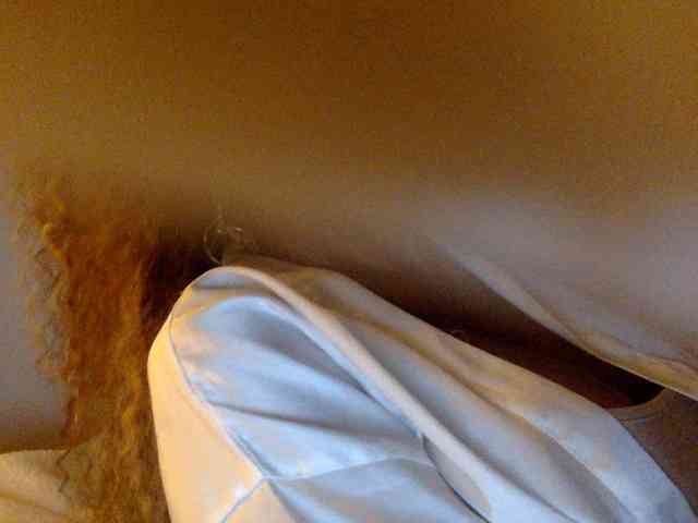 juicylayla webcam