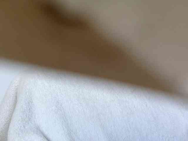 juicylayla webcam