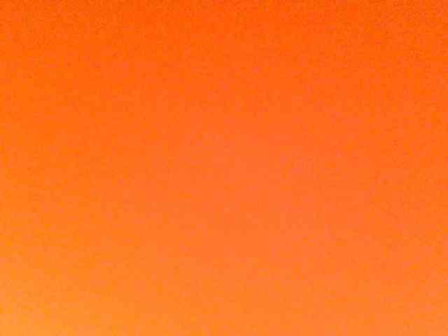 juicylayla webcam