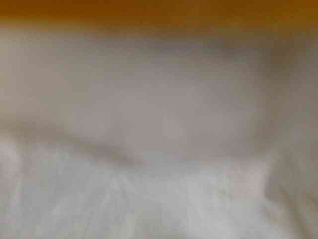 juicylala webcam