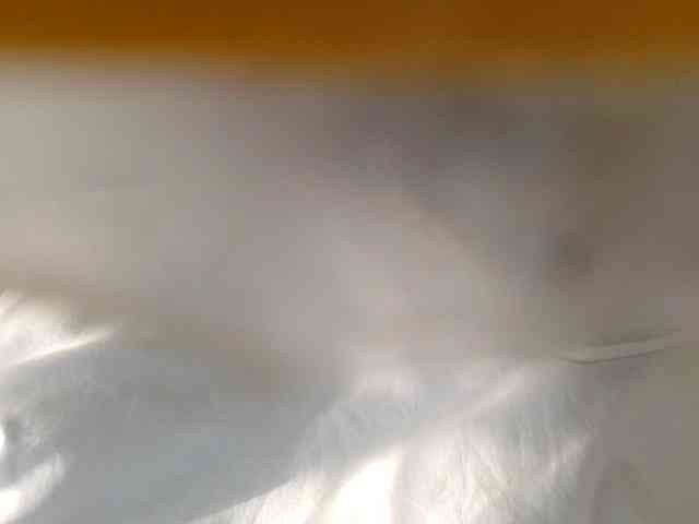 juicylala webcam