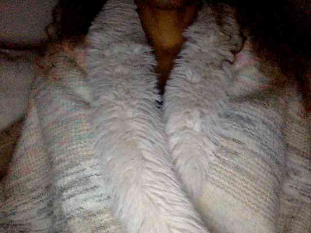 juicylayla