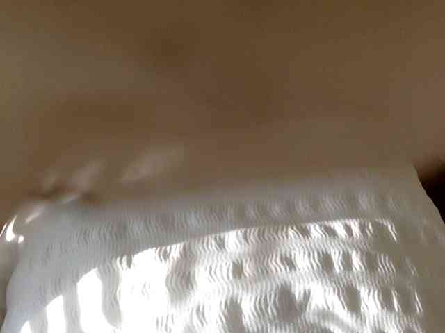 juicylayla webcam