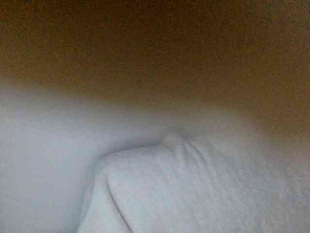 juicylayla webcam
